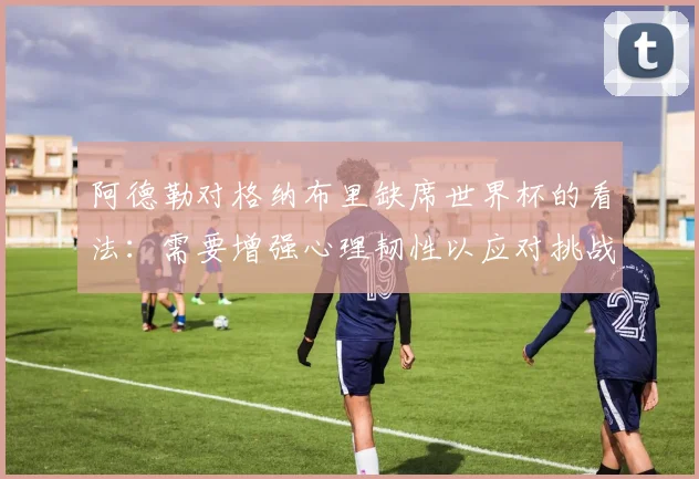 阿德勒对格纳布里缺席世界杯的看法：需要增强心理韧性以应对挑战